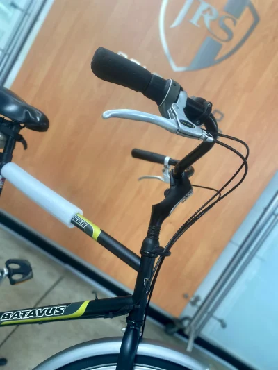Batavus