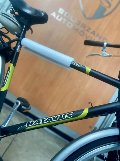 Batavus