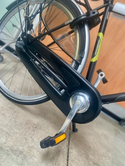 Batavus