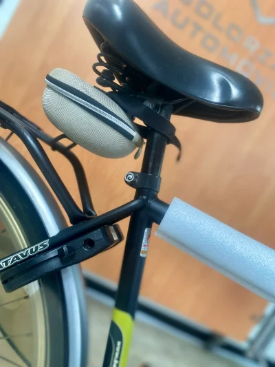 Batavus