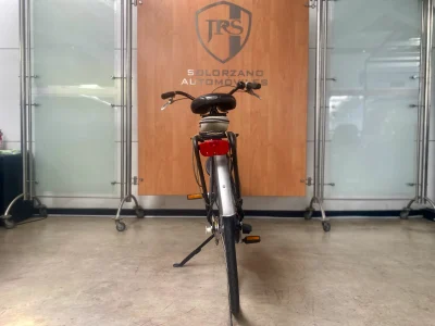 Batavus