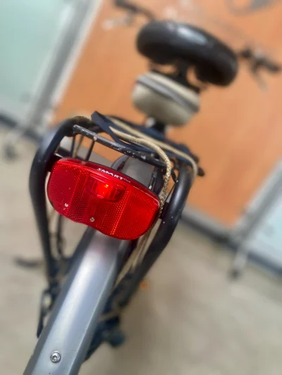 Batavus