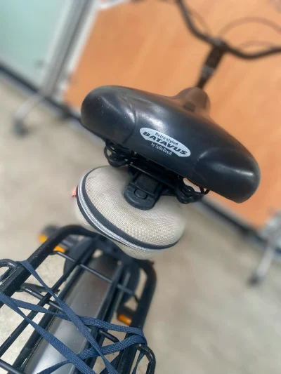 Batavus