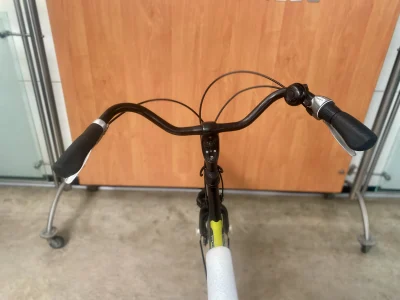Batavus