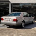 MERCEDES BENZ 300SE (8)
