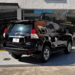 PRADO 2012 (6)