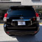 PRADO 2012 (9)
