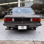 Bmw 323 (11)