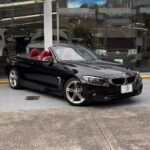 bmw 420 (6)